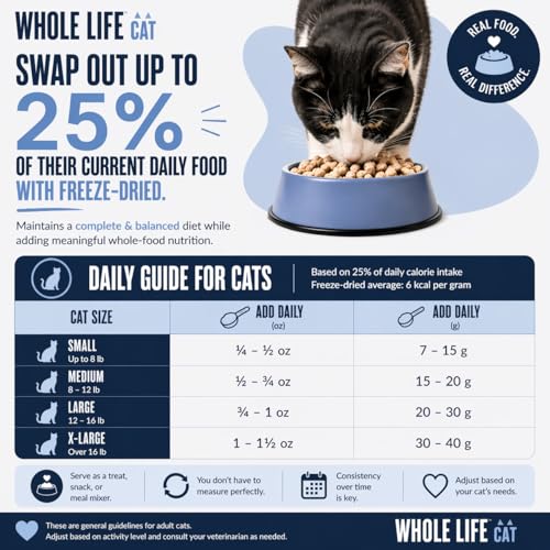 Whole Life Cat Just One Salmon Freeze Dried Cat Treats - Human Grade High Protein Food, Healthy Training Snacks, Freeze Dried Salmon Food Toppers