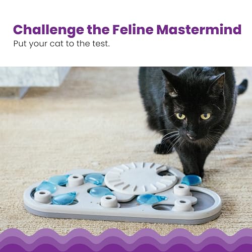 Catstages Nina Ottosson Rainy Day Puzzle & Play Cat Puzzle Feeder – Interactive Treat Game for Indoor Cats, Level 3 Slow Feeder Enrichment Toy, 13.8"