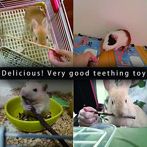 Natural Apple Sticks, 500g Treats Food for Small Animals, Chew Toys for Chinchilla Guinea Pigs Rabbit Squirrel Hamster Bunny