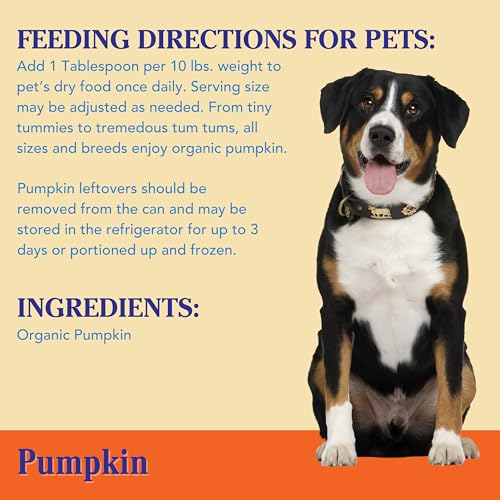 Nummy Tum Tum Organic Pumpkin For Dogs & Cats, 15 Ounce (Pack of 12)