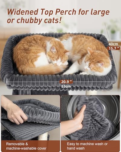 Cat Tree for Large Cat, 20.9 * 15.7in Large Perch Bed for Adult Cats, 22.8in Cat Tower with Scratching Post, Cat Condo with 2-Door for Indoor Cats