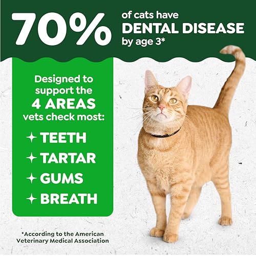 Greenies Cat Treats, Feline Veterinarian-Recommended Adult Natural Dental Cat Treats, Oven Roasted Chicken Flavor, 9.75 oz. Tub