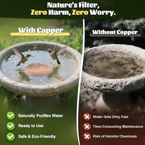 NNG 1 Pack Bird Bath Copper Disk,0.6mm Thick Reinforced 99.9% Pure Copper Bird Bath Purification Disk with Triple-Point Support,Physical Safe Water