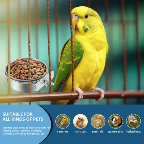 2Pcs Stainless Steel Bird Feeding Bowls, Small Bird Feeding Cup, Stainless Steel Parrot Food Bowl Cage with Holder, Parrot Cage Water Feeder, Pet