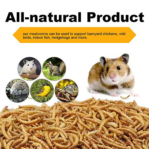 20lbs Mealworms, High-Protein Dried Mealworms for Birds, Chickens, Turtles, Fish, Hamsters and Hedgehogs, Non-GMO and Chemical Free, All Natural