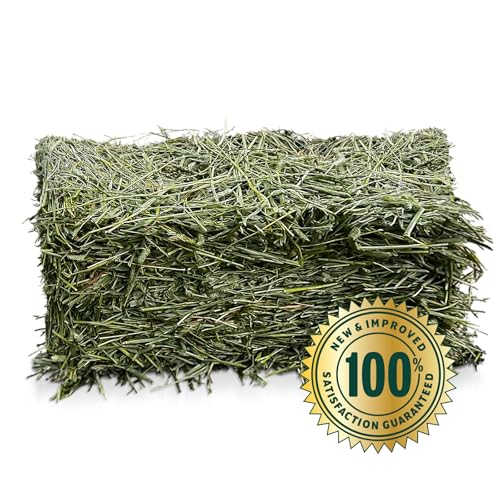 Eaton Pet and Pasture Naturally Grown, Premium, 1st Cut Blend, Western Timothy Hay Orchard Blend, Small Animal Food, Sustainable, Eco-Friendly