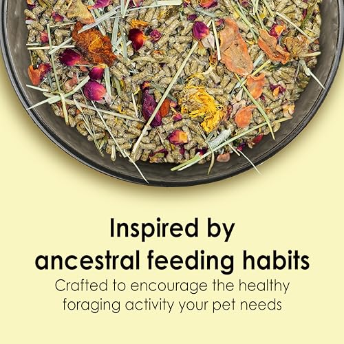 Kaytee Food from The Wild Natural Pet Rabbit Food, 4 Pound