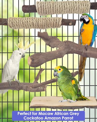 Bissap 5PCS Large Bird Perch Stand, Natural Wood Pole Standing Paw Grinding Fork Parrot Cage Branch with Rope for Macaw African Grey  Pet Medium