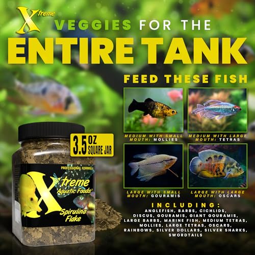 Xtreme Spirulina Flakes - Balanced Herbivorous Diet for Tropical and Marine Fish, Enhanced Health, Vibrant Colors - USA Farm Grown - Ideal for