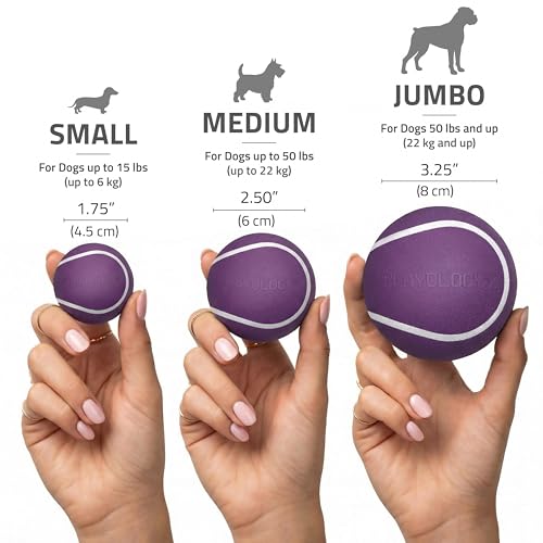 Playology Dog Toys | Squeaky Chew Ball for Dogs, Value 3-Pack | Bacon Scented Small Dog Balls | Bouncy Floating Chew Toys for Fetch