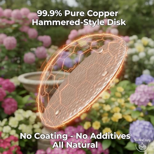 Bird Bath Copper Disk & Maintenance Set, 2 Hammered Style 0.8mm, 99.9% Pure Copper Plate, Rustic Birdbath Accessories for Bowl and Fountain, Supports