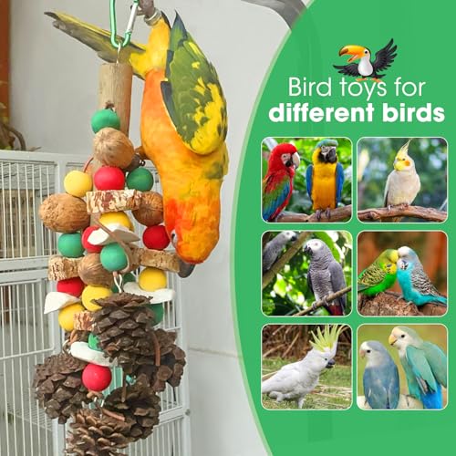 MQUPIN Parrot Toys, Nuts Nutrient-Rich Bird Toys,Natural Wooden Parrot Cage Bite Toy,Chewing Toy Containing Cuttlefish Bones,Pine Cones,Wooden