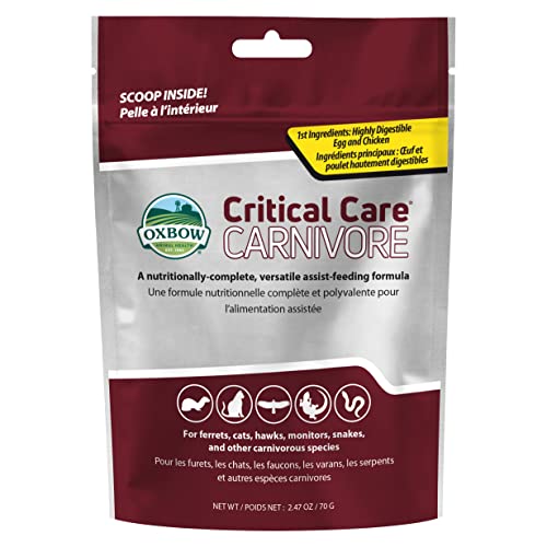 Oxbow Critical Care Carnivore, Made with Whole Egg & Dried Chicken, Assist Feeding Formula for Carnivores, Cat Supplements, Ferret Food Recovery