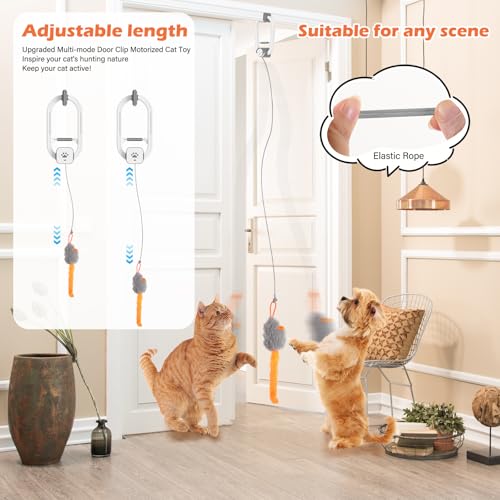 Interactive Cat Toy, Rechargeable Electric Cat Teaser, Hanging Door cat Toy, 2 Motion Modes (360° Spin & Irregular Jumping), Smart Auto Cat Toy for