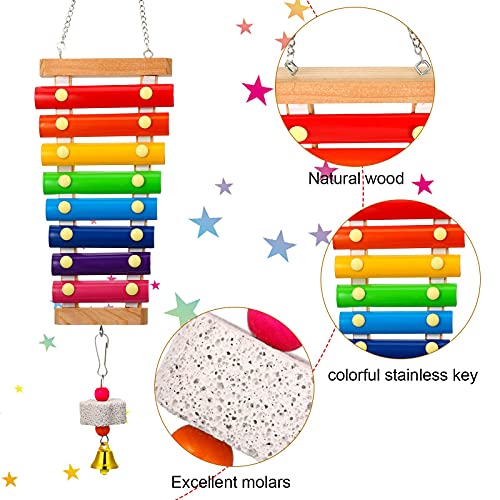Sumind 6 Pieces Chicken Mirror Chicken Toys for Coop with Bells, Hen Xylophone Toy with 8 Metal Keys, Parrot Grinding Stone, Sepak Takraw Toy