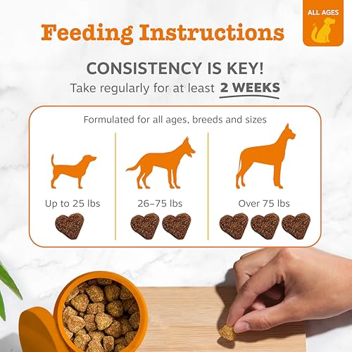 Zesty Paws Omega 3 Alaskan Fish Oil Chew Treats for Dogs - with AlaskOmega for EPA & DHA Fatty Acids - Hip & Joint Support + Skin & Coat Chicken