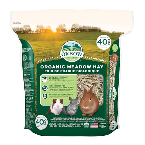 Oxbow Organic Meadow Hay, Guinea Pig & Rabbit Hay, Small Pet Bunny Supplies, All Natural Grass for Guinea Pig, Bunny, Chinchilla & Hamster, Rabbit