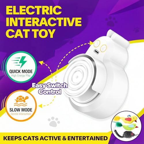 Interactive Cat Toys for Indoor Cats: Automatic Electric Flying Bird Feather & Mouse Wand, Rechargeable Electric Hanging Play Chase Exercise Moving