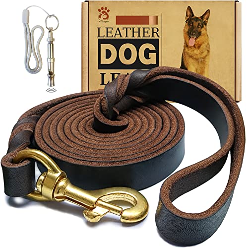 Leather Dog Leash 6ft x 3/4 inch,Strong Heavy Duty Genuine Leather Braided Dog Training Leash, Soft and Comfortable Leather Leash for Large Dogs