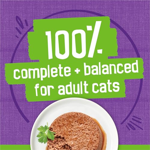 Purina Friskies Wet Cat Food Pate Turkey and Giblets Dinner - (Pack of 24) 5.5 oz. Cans
