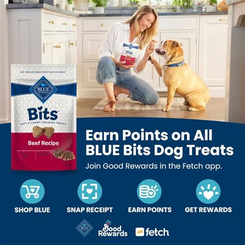 Blue Buffalo Bits Soft Dog Treats for Training, Made with Natural Ingredients & Enhanced with DHA, Beef Recipe, 19-oz Bag