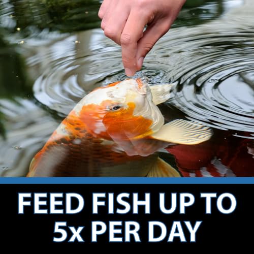 CrystalClear Staple Pond Fish Food for Healthy Koi & Goldfish, Protein Packed Floating Pellets for Summer Nutrition, Easy Digestion, 2.2 Pound Bag