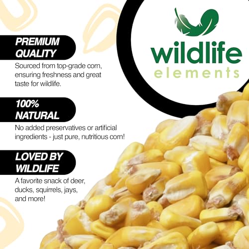 Critter Corn, Natural Whole Shelled Corn for Wildlife, 44lb Bag – High-Energy Feed for Deer, Squirrels, Turkeys, Ducks, Raccoons, and More – USA