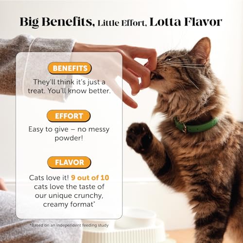 Cat Immune Support Lysine – Allergy Relief & Immune Health Supplement for Cats with L-Lysine, Colostrum, Quercetin & Omega-3 – Soothes Sneezing