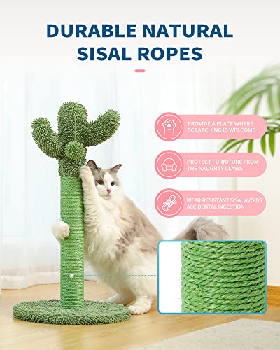 Made4Pets Cat Scratching Post, 25.6" Cactus Cat Scratcher Kitten Scratch Post with Sisal Rope for Indoor Cats Claw Scratcher, Vertical Green Cat Tree