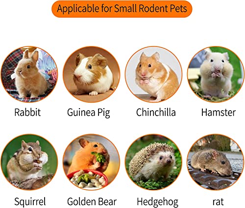700g Apple Sticks Molar Wood Treats, Rabbit Toys Chinchilla Guinea Pig Bunny Toys Wood Chews Sticks for Teeth Rabbit Food Guinea Pig Hamster Gerbil
