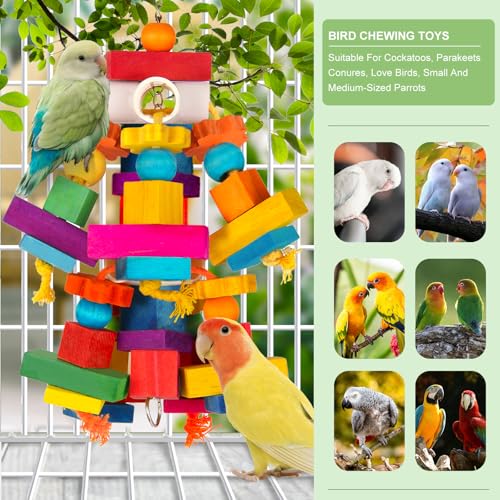 Kyouki Large Parrot Toy, Bird Toys for Cockatoos,Macaws, African Grey,  Parrots,Conures, Lovebirds, Multicolored Natural Wooden Blocks Chewing Toys