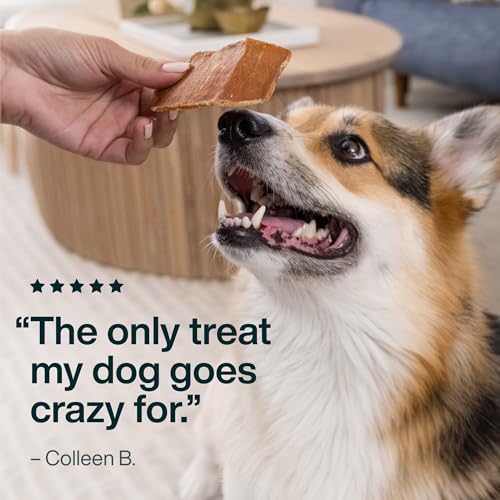 Just Food for Dogs Single Ingredient Healthy Dog Treats and Dog Snacks, Jerky Treats, Human Grade, Preservative and Grain Free, Rawhide Free Chews