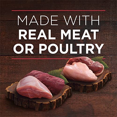 Purina ONE True Instinct Tender Cuts in Gravy with Real Turkey and Venison, and with Real Chicken and Duck High Protein Wet Dog Food Variety Pack