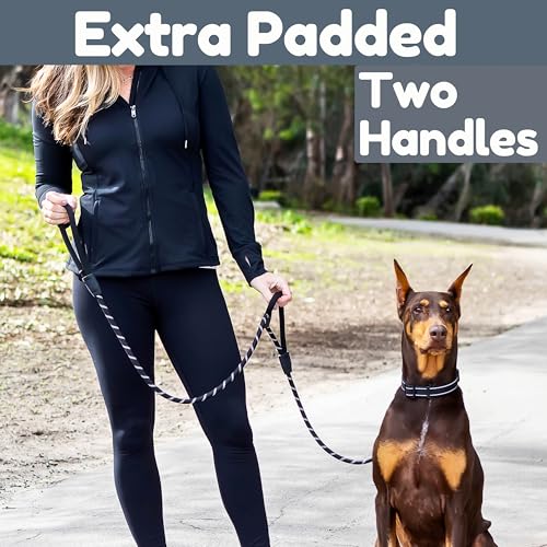 6 Foot Dog Leash, Two Extra Padded Handles, Locking Carabiner Clip, Reflective for Night Visibility, Weatherproof, Heavy Duty Rope Leash, Roam Gear