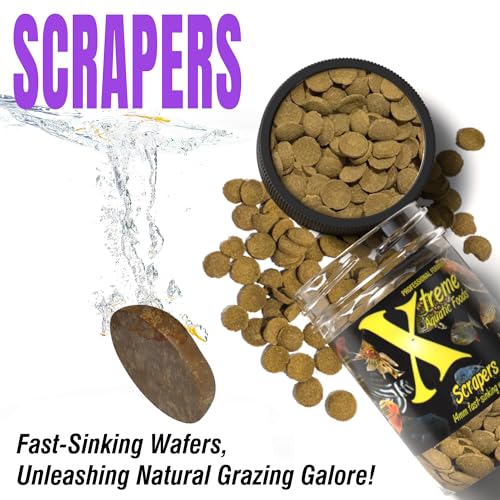 Xtreme Scrapers Wafers - Premium 14mm Fast-Sinking Fish Food – Nutrient & Cellulose Rich Ideal for Nocturnal Feeders, Catfish, Plecostomus Species