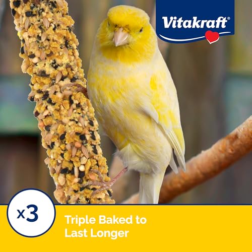 Vitakraft Crunch Sticks Parakeet Treats Egg and Honey Flavor 2 Pack - Long Lasting Seed Stick with Natural Wood Center Clip Holder and Nutritious