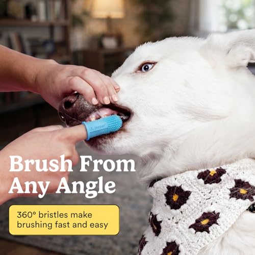 Jasper Dog Toothbrush, 360 Dog Tooth Brushing Kit, Finger Toothbrush, Cat Tooth Brush, Teeth Cleaning, Pet Tooth Brush for Small & Large Pets, Pet