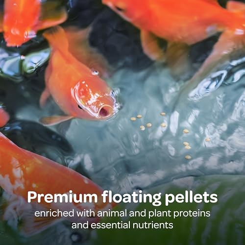 Kaytee Koi’s Choice Koi Floating Fish Food, For Koi, Goldfish and Pond Fish, 10 pounds