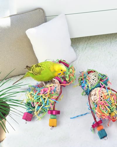 Bissap 2PCS Bird Parrot Foraging Shredder Hanging Toys Sola Balls Sepak Takraw with Pacifier for Small Parrots Parakeets Conures Cockatiels Love