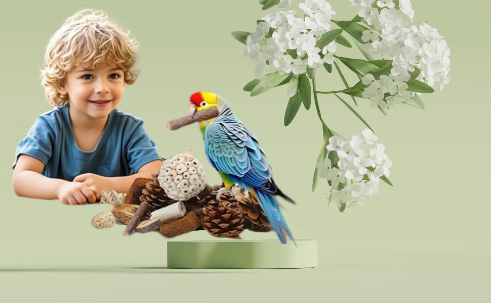 Bird Toys Bird Foraging Shredding Chewing Parrot Foraging Shredding Toys Chewing Toy Birdcage Accessories for Conures Caiques Cockatiel Budgies