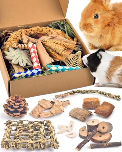 Bissap Rabbit Chew Toy, Natural Bunny Treats Snacks with Timothy Hay Water Grass Mat Coconut Husk Box for Guinea Pigs Chinchillas Hamsters Gerbils