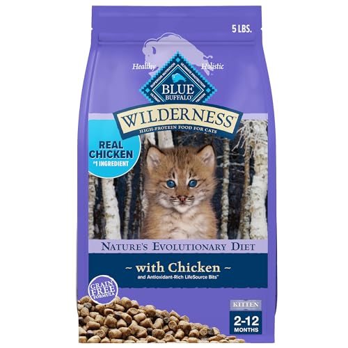 Blue Buffalo Wilderness Natural Kitten Dry Cat Food, with DHA and ARA to Support Brain and Eye Development, High-Protein and Grain-Free Diet