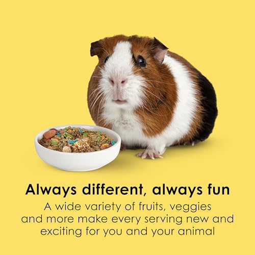 Kaytee Fiesta Guinea Pig Food, Nutritious and Fun Blend, Supports Dental Health and Digestion, 4.5 pounds