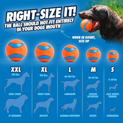Chuckit! EcoFetch Dog Ball Launcher - 18" with Medium (2.5") Dog Fetch Ball Thrower, for Dogs 20-60 Pounds, Made in USA
