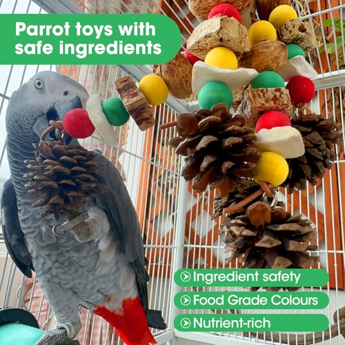 MQUPIN Parrot Toys, Nuts Nutrient-Rich Bird Toys,Natural Wooden Parrot Cage Bite Toy,Chewing Toy Containing Cuttlefish Bones,Pine Cones,Wooden