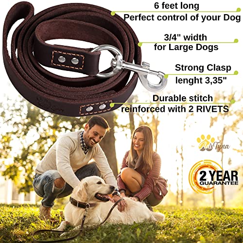 ADITYNA Leather Dog Leash 6 ft x 3/4 inch - Soft, Strong, Heavy Duty for Large & Medium Breeds - Dog Lead for Walking, Training, Hiking and Running