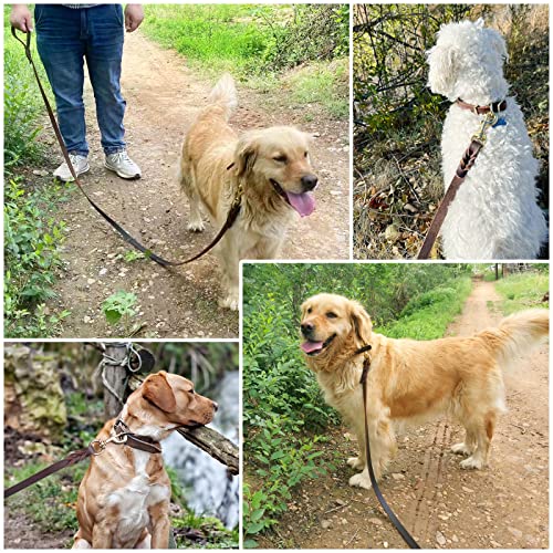 Leather Dog Leash 6ft x 3/4 inch,Strong Heavy Duty Genuine Leather Braided Dog Training Leash, Soft and Comfortable Leather Leash for Large Dogs