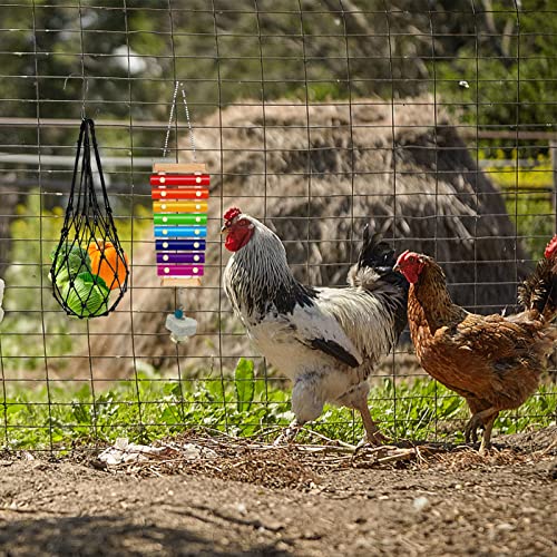 6 Packs Chicken Toys for Coop Accessries, Chicken Swing Toys for Chicken Hens, Chicken Xylophone Toys and Mirror, Vegetable Hanging Feeder, Veggies