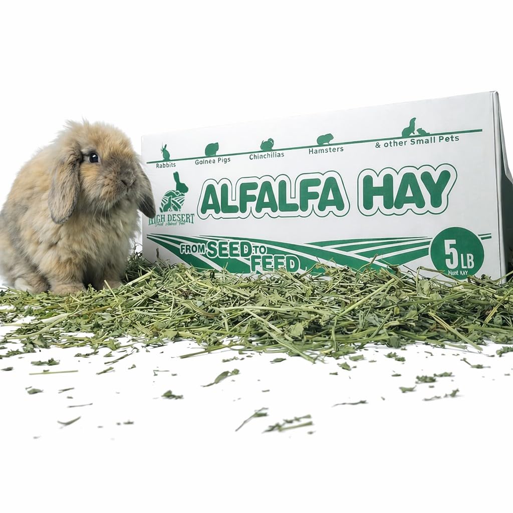 High Desert Alfalfa Hay, Protein Rich Soft Leaf Food for Young Growing Animals, Natural Rabbit Food and Guinea Pig Hay, Supports Digestive Health