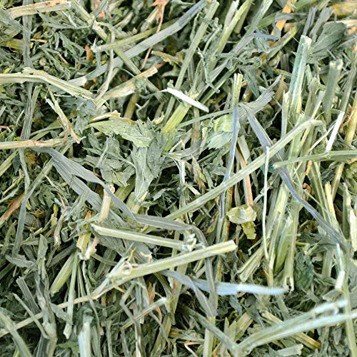 Oxbow Alfalfa, Guinea Pig Hay, Rabbit Hay, Small Pet Bunny Supplies, All Natural Grass for Guinea Pig, Bunny, Chinchilla & Hamster, Oxbow Rabbit